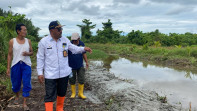 Antisipasi Banjir Kadis DLH Rohil Rutin Normalisasi Parit dan Sungai