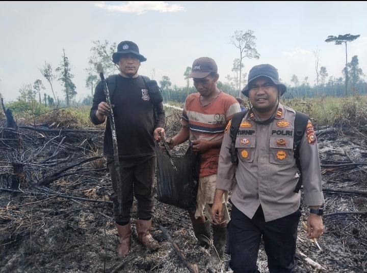 Polsek Sinaboi Kembali Menangkap Pelaku Pembakaran Lahan Di Kecamatan Sinaboi.