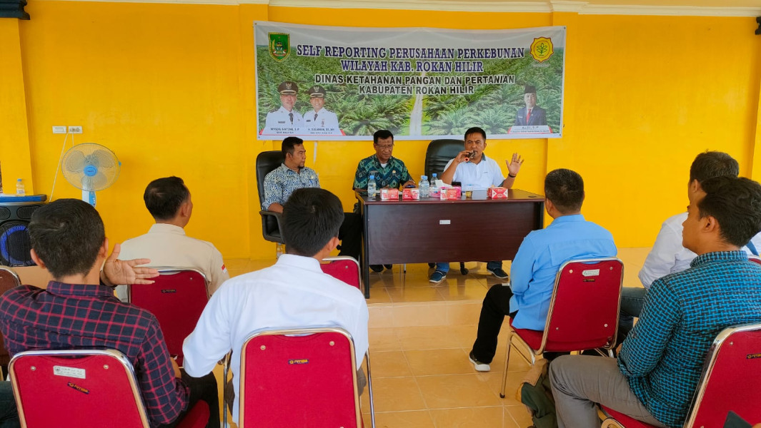 DKPP Rohil Taja Sosialisasi Sef Reporting Aplikasi Siperibun ke Perusahaan Perkebunan